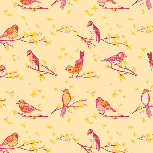 Marigold - The Dawn Chorus Sunset